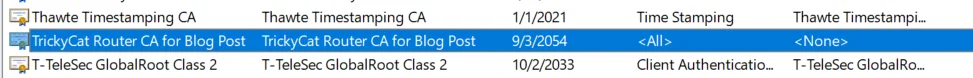 Imported custom CA certificate into the machine store